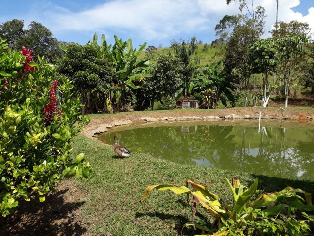 Chácara/Sítio para Venda Sitio Santa Luzia  Jacutinga